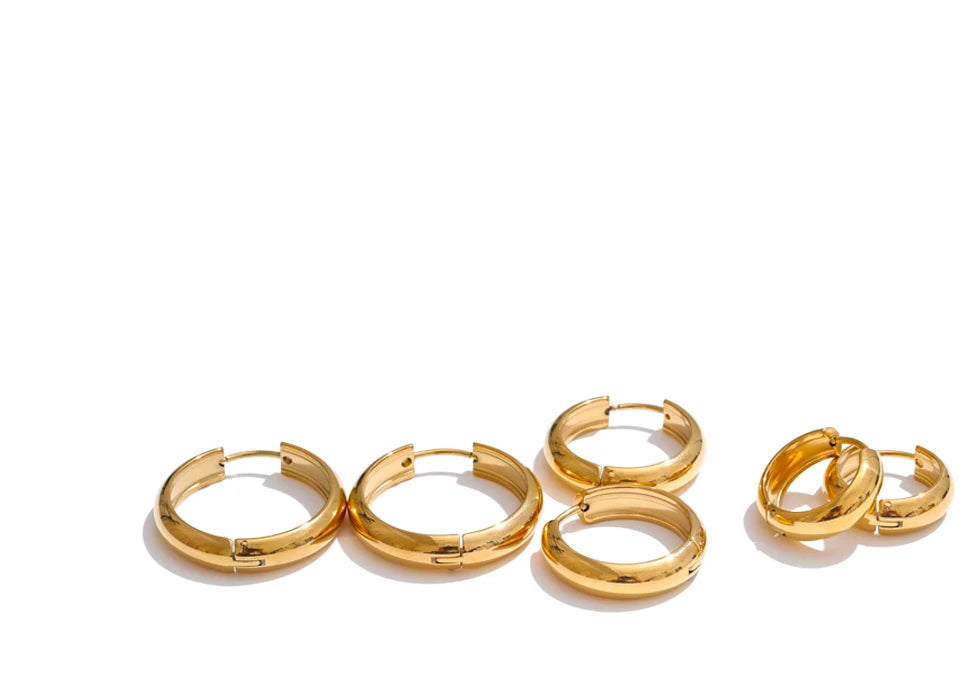 Chloe Everyday Hoop Earrings